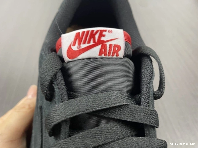 Air Low 1 Jordan SoleFly DN3400-001 x Carnivore 0714